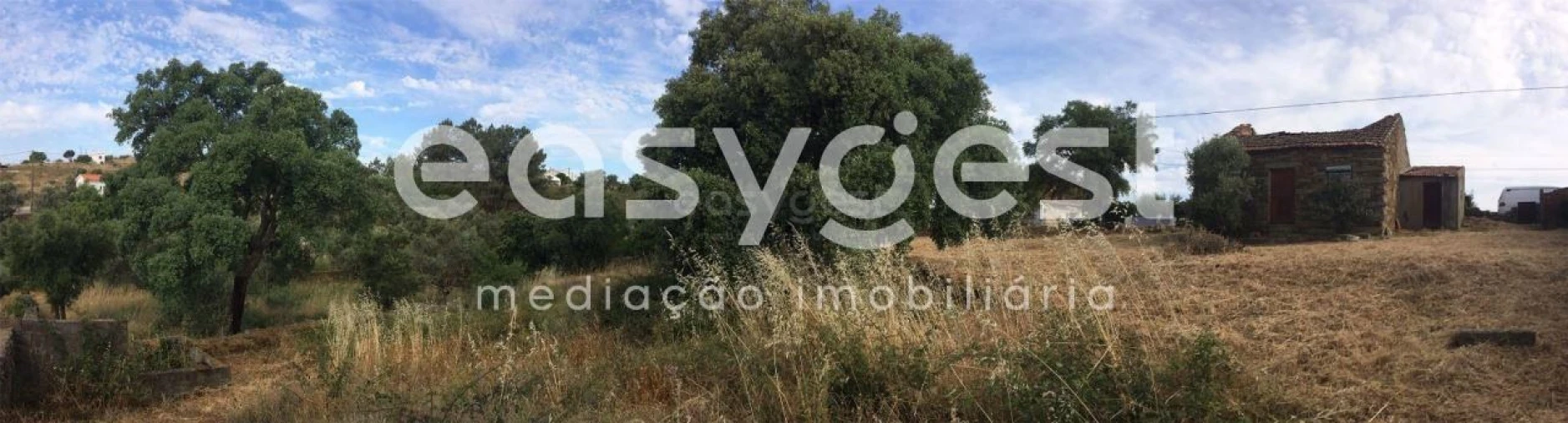 Terreno para Venda em Cebolais de Cima e Retaxo Foto 14