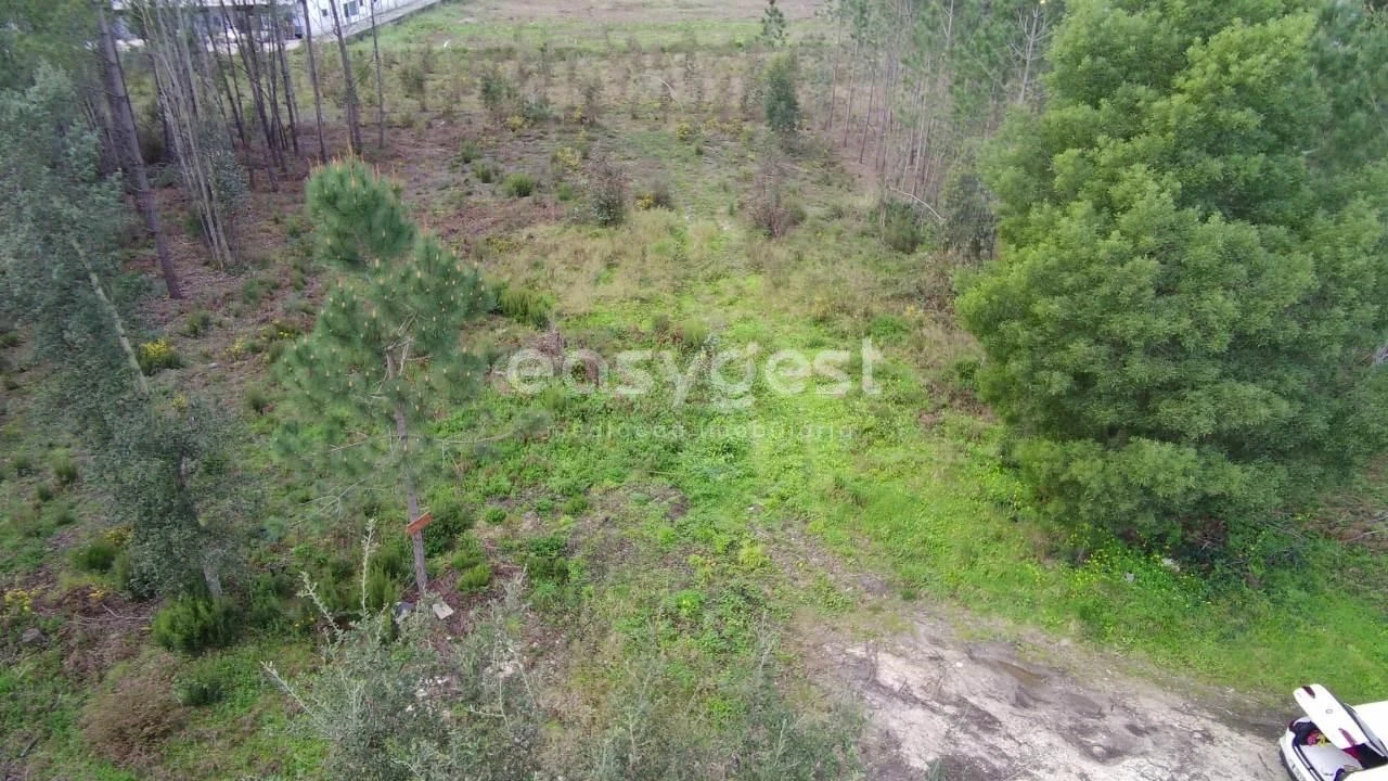 Terreno para Venda em Pataias e Martingança Foto 4