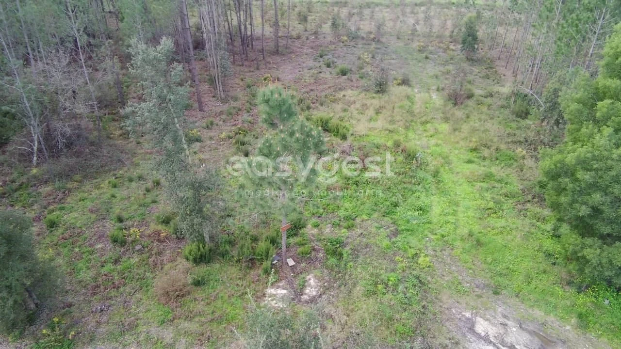 Terreno para Venda em Pataias e Martingança Foto 5