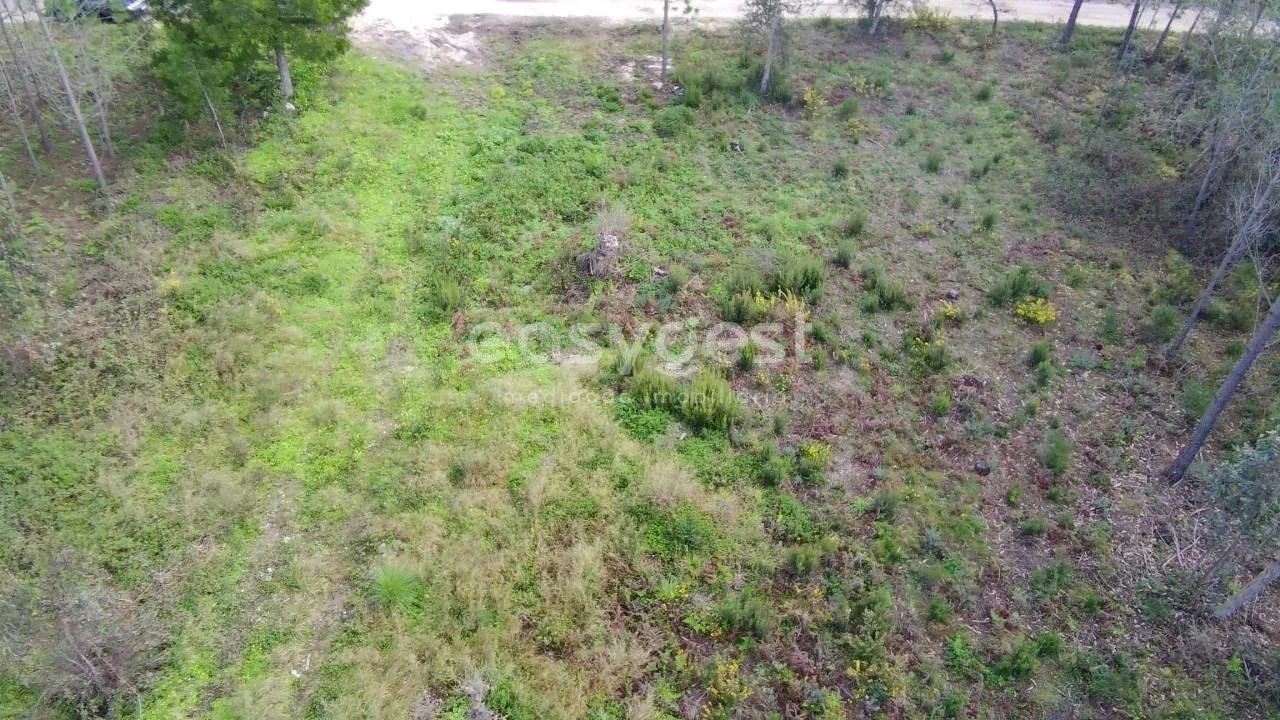 Terreno para Venda em Pataias e Martingança Foto 6