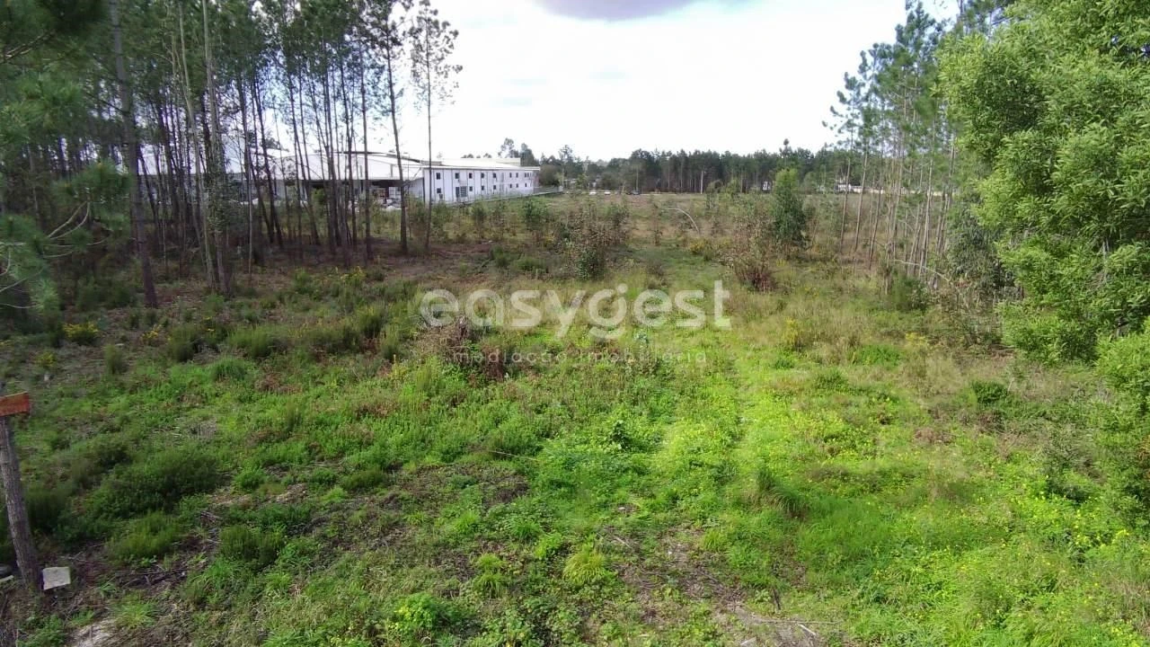 Terreno para Venda em Pataias e Martingança Foto 7