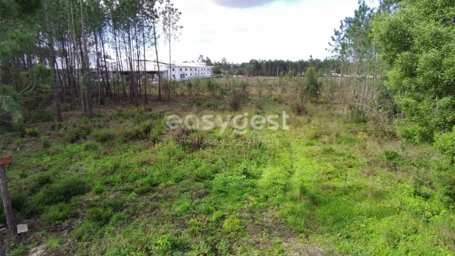 Terreno para Venda em Pataias e Martingança Foto 7