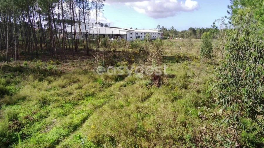 Terreno para Venda em Pataias e Martingança Foto 9