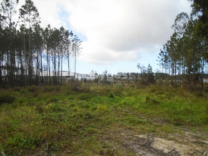 Terreno para Venda em Pataias e Martingança Foto 10