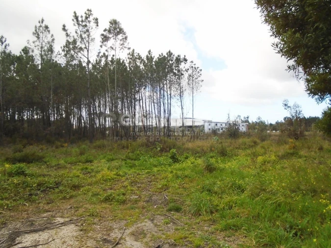 Terreno para Venda em Pataias e Martingança Foto 11