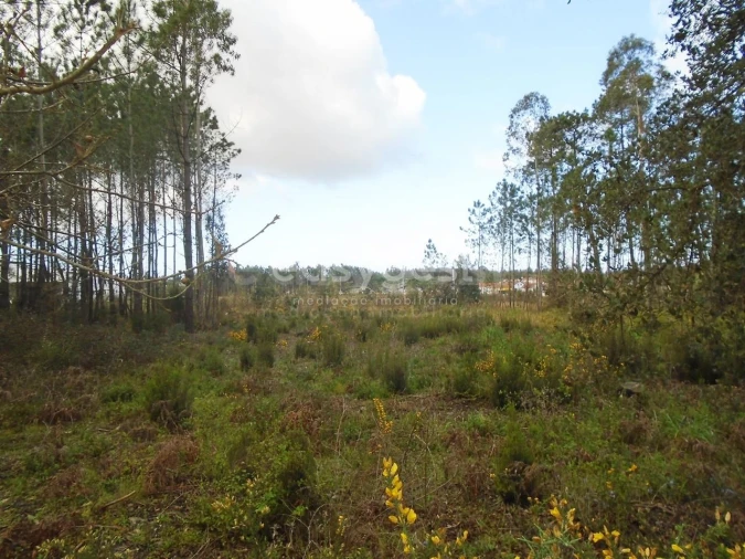 Terreno para Venda em Pataias e Martingança Foto 14