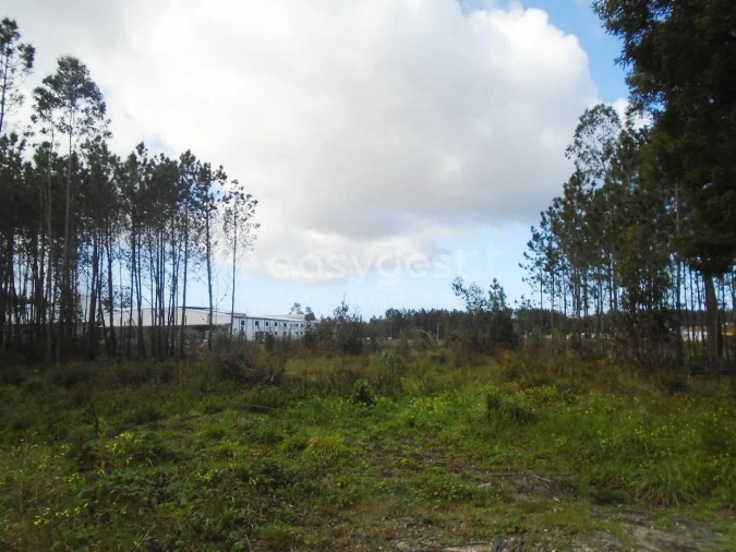 Terreno para Venda em Pataias e Martingança Foto 15
