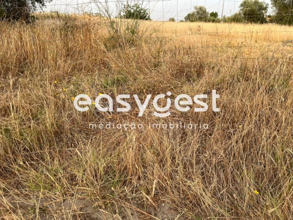 Terreno para Venda em Poceirão e Marateca Foto 11