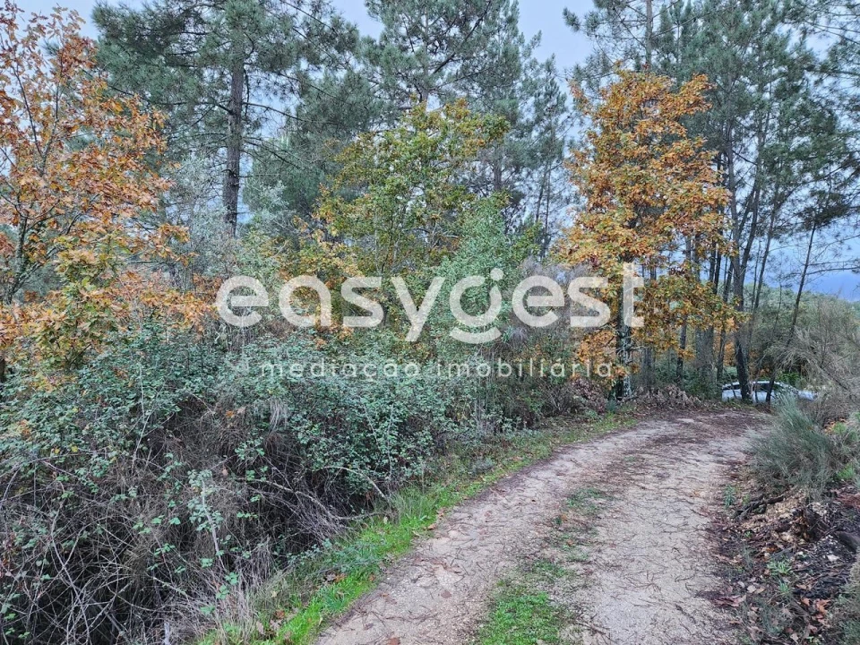 Terreno para Venda em Tabua Foto 3