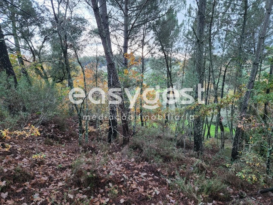 Terreno para Venda em Tabua Foto 8