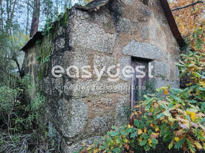Terreno para Venda em Tabua Foto 1