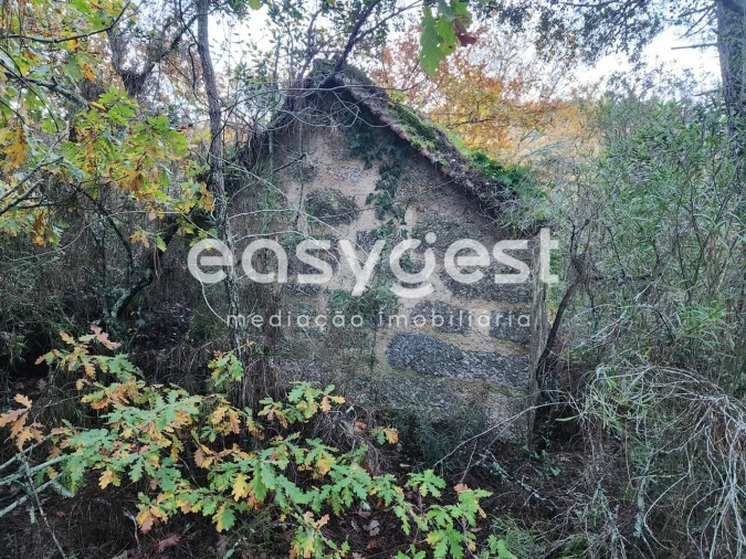 Terreno para Venda em Tabua Foto 2