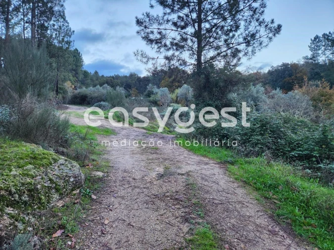 Terreno para Venda em Tabua Foto 4