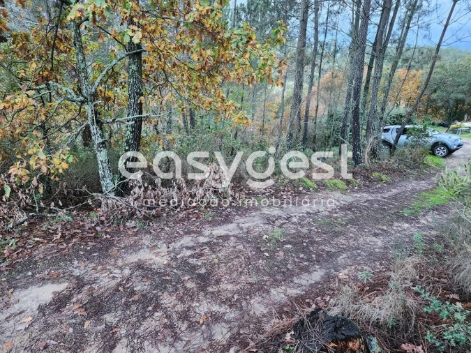 Terreno para Venda em Tabua Foto 12