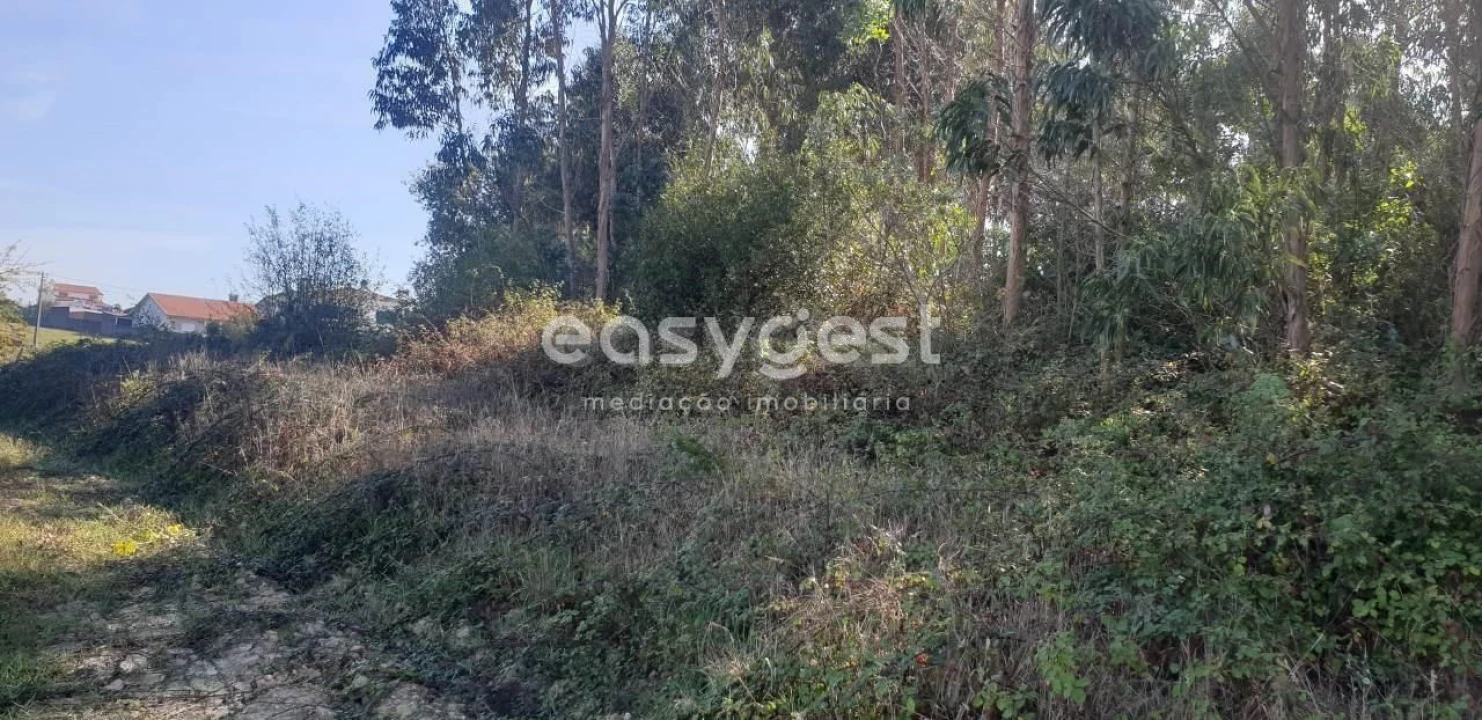 Terreno para Venda em Aradas Foto 2