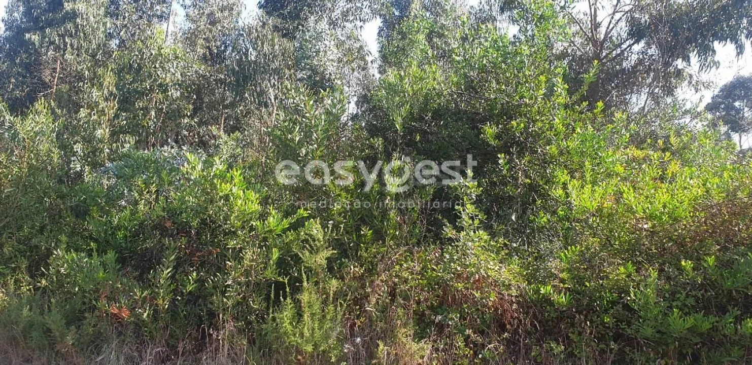 Terreno para Venda em Aradas Foto 5