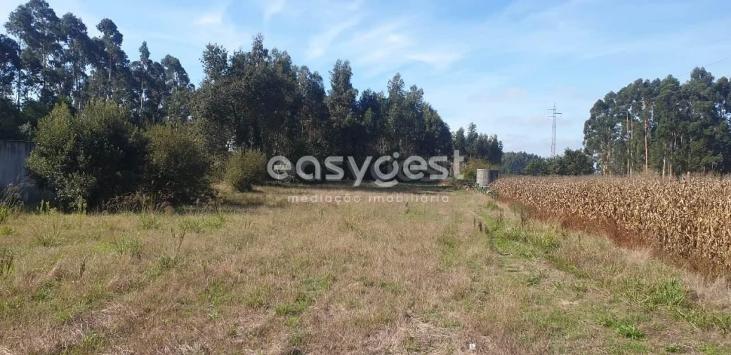 Terreno para Venda em Aradas Foto 1