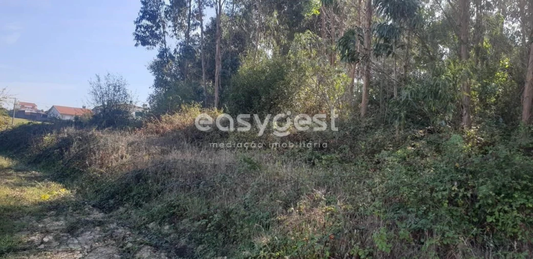 Terreno para Venda em Aradas Foto 2