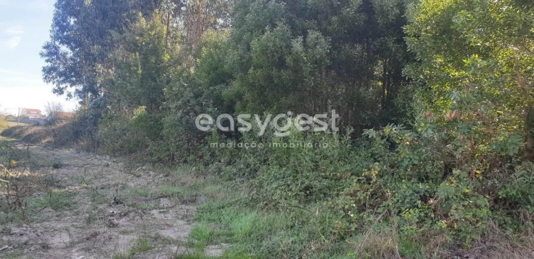 Terreno para Venda em Aradas Foto 3