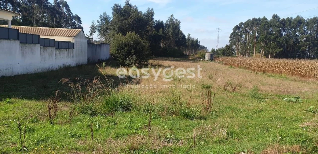 Terreno para Venda em Aradas Foto 6