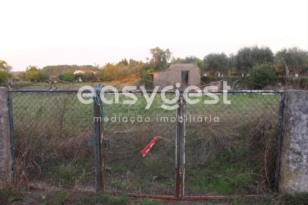 Terreno para Venda em Cernache Foto 2