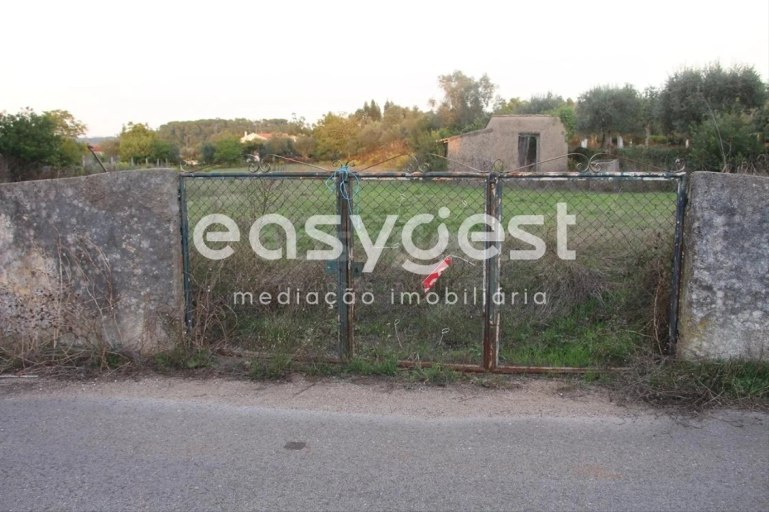 Terreno para Venda em Cernache Foto 3