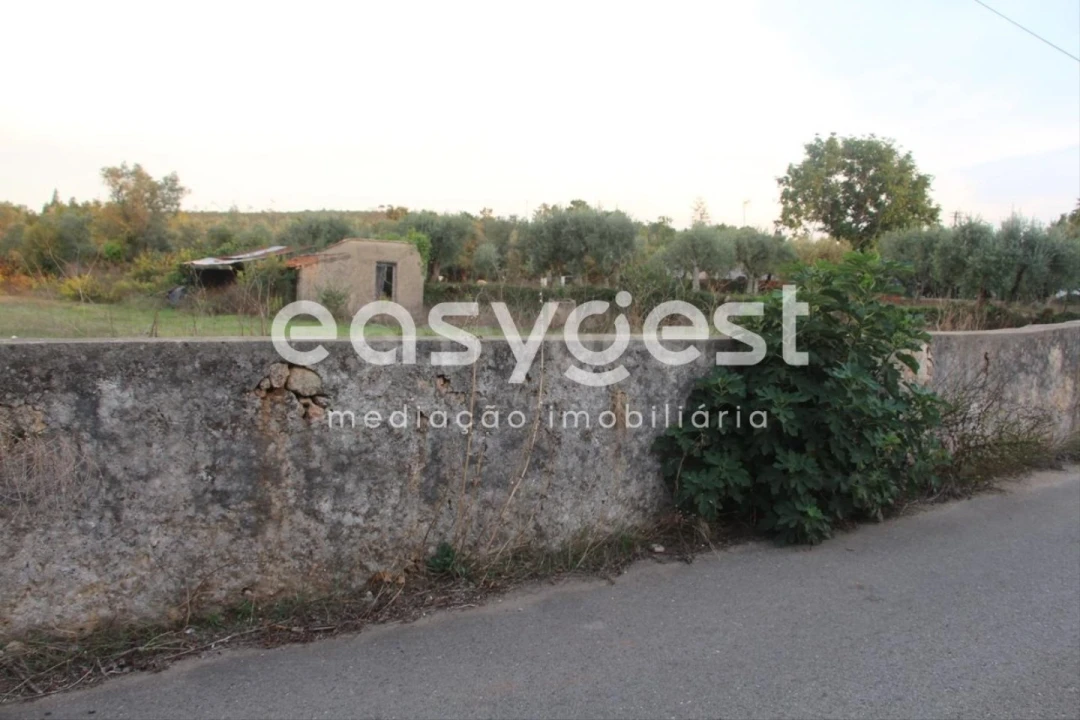 Terreno para Venda em Cernache Foto 6