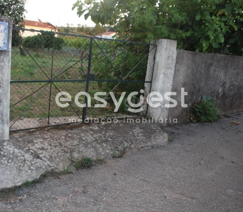 Terreno para Venda em Cernache Foto 9