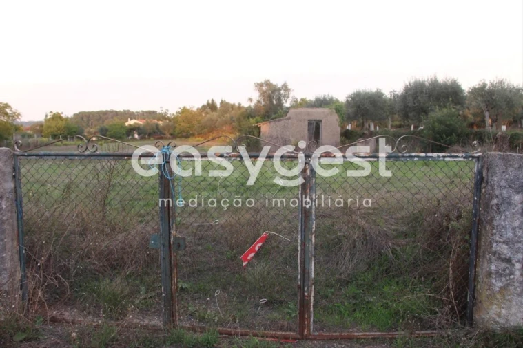 Terreno para Venda em Cernache Foto 2