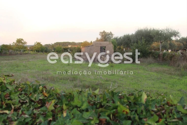 Terreno para Venda em Cernache Foto 4