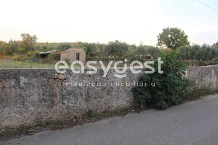 Terreno para Venda em Cernache Foto 6