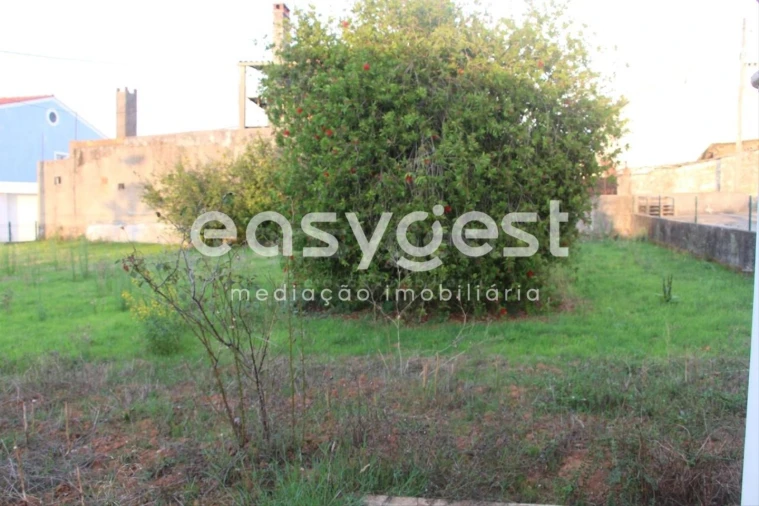 Terreno para Venda em Cernache Foto 8