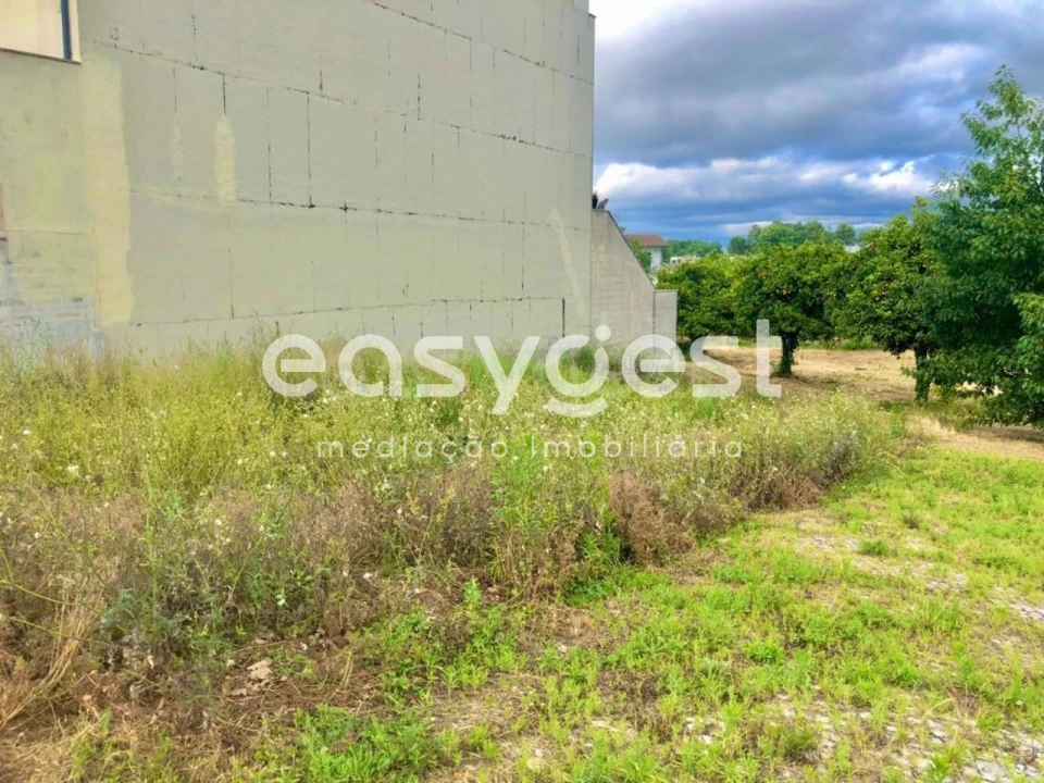 Terreno para Venda em São João de Lourosa Foto 2