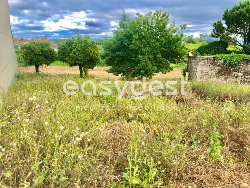 Terreno para Venda em São João de Lourosa Foto 3