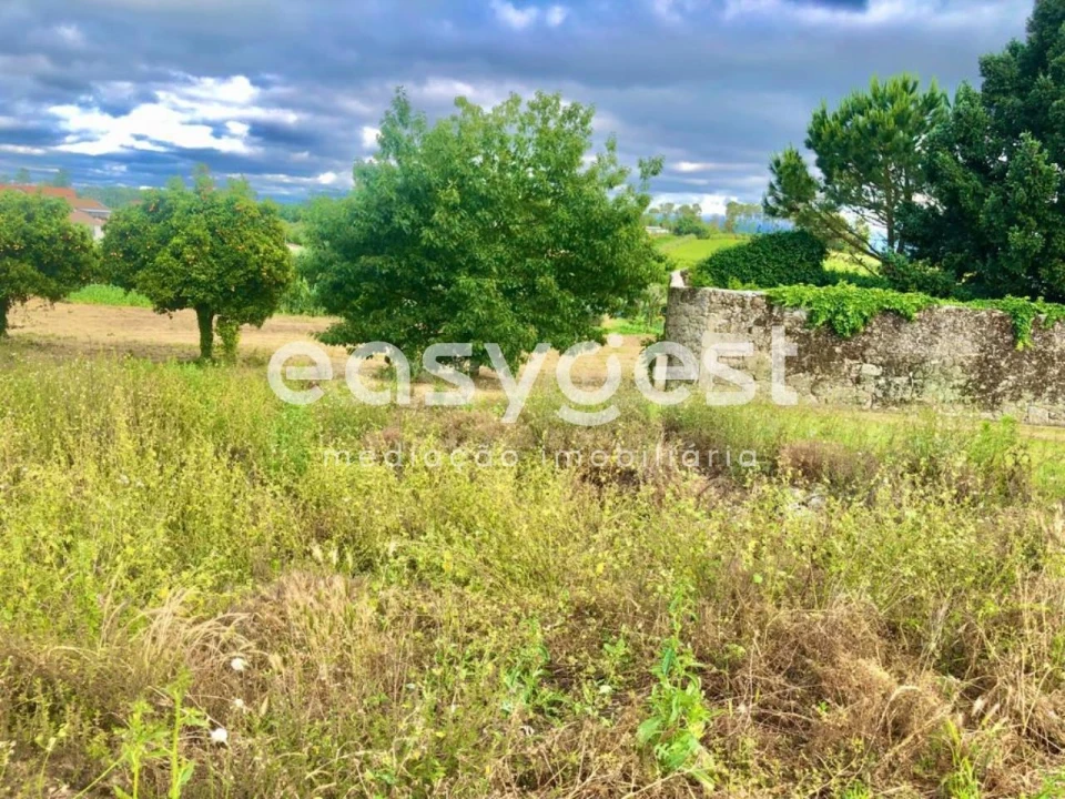 Terreno para Venda em São João de Lourosa Foto 10