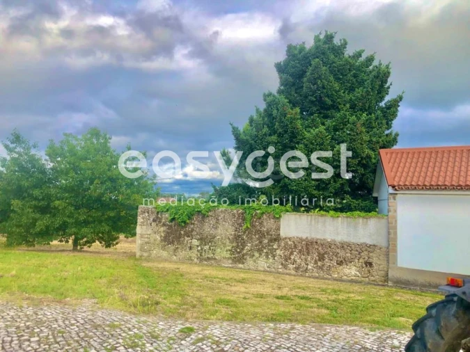 Terreno para Venda em São João de Lourosa Foto 5