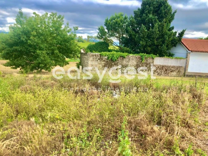 Terreno para Venda em São João de Lourosa Foto 11
