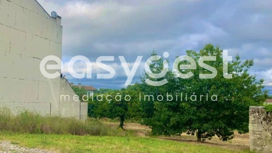 Terreno para Venda em São João de Lourosa