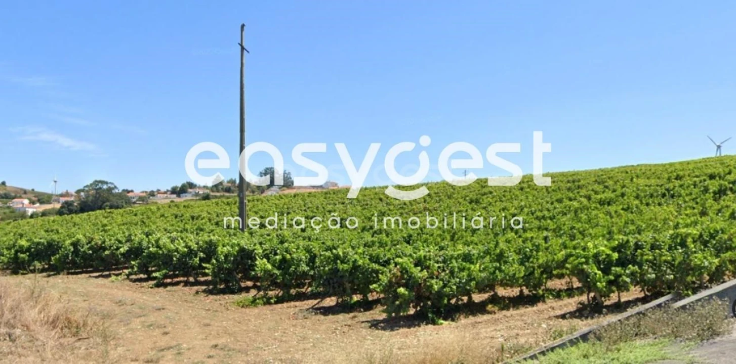 Terreno para Venda em Sobral de Monte Agraço Foto 3