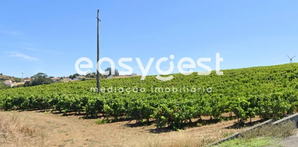 Terreno para Venda em Sobral de Monte Agraço Foto 3