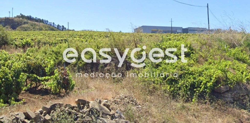 Terreno para Venda em Sobral de Monte Agraço Foto 5