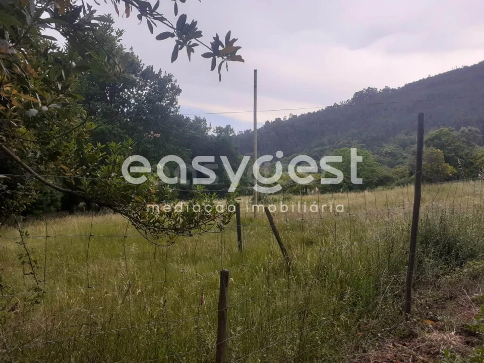 Terreno para Venda em Castelões Foto 2