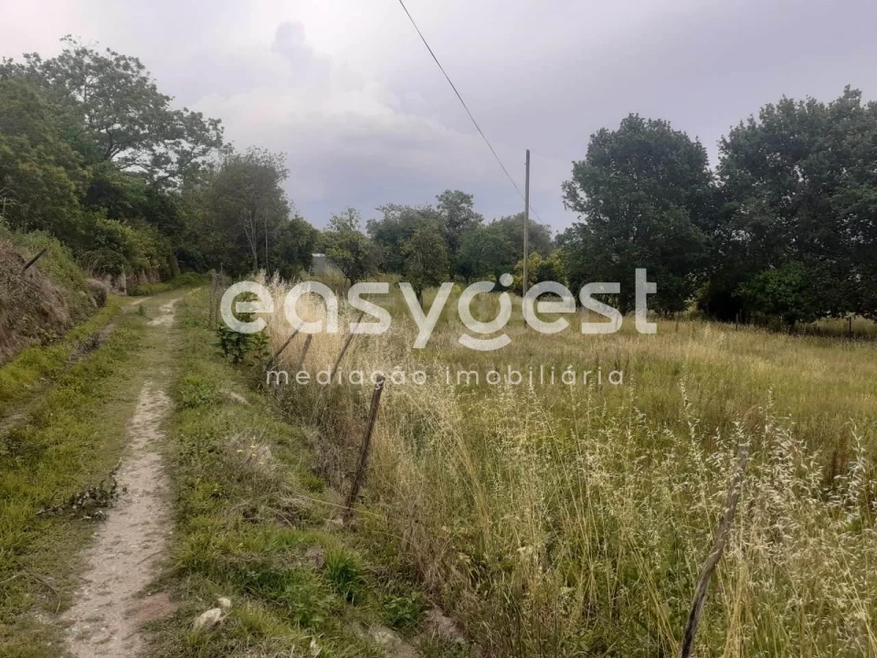 Terreno para Venda em Castelões Foto 3