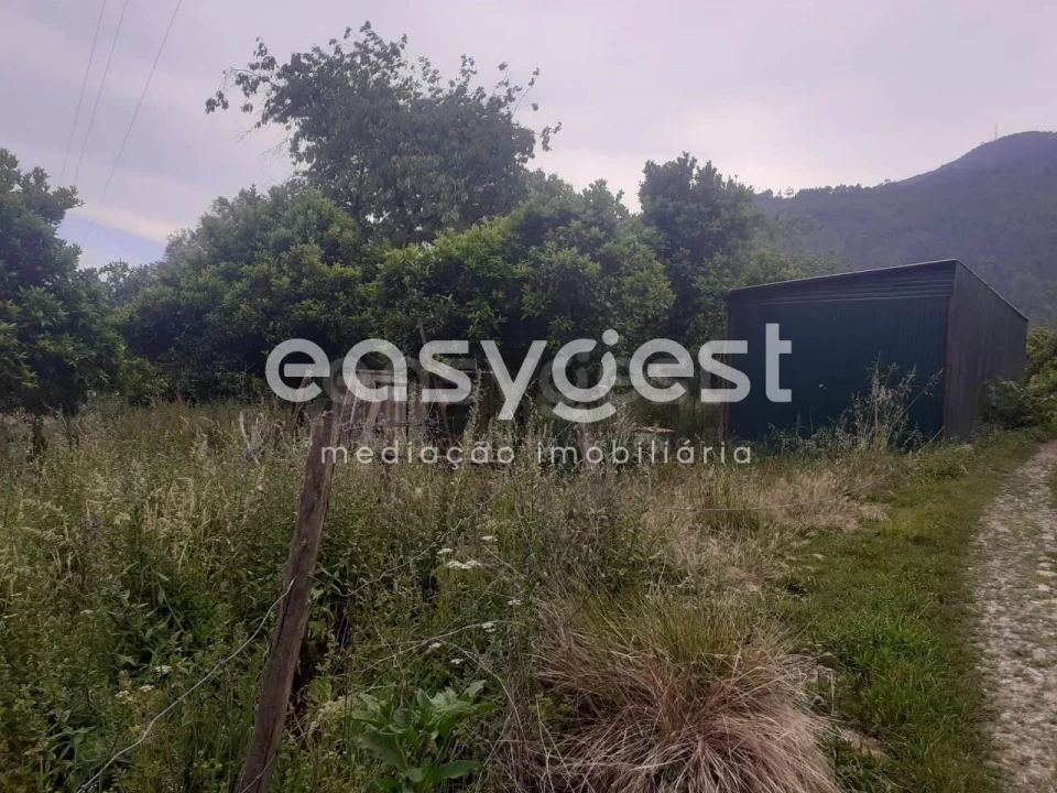 Terreno para Venda em Castelões Foto 5