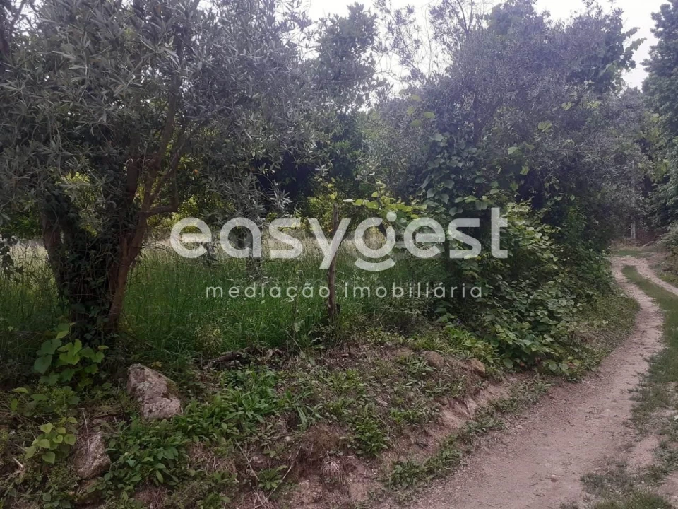 Terreno para Venda em Castelões Foto 10