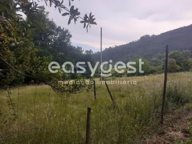 Terreno para Venda em Castelões Foto 2