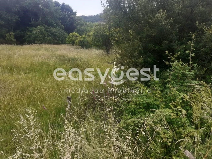 Terreno para Venda em Castelões Foto 4