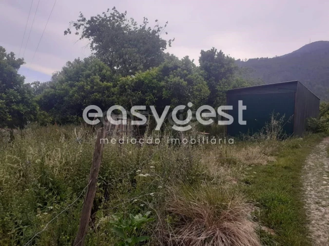 Terreno para Venda em Castelões Foto 5