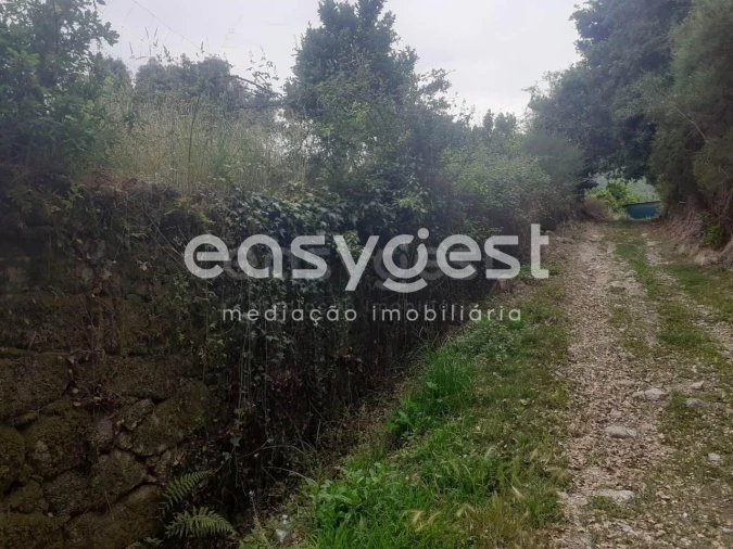 Terreno para Venda em Castelões Foto 16