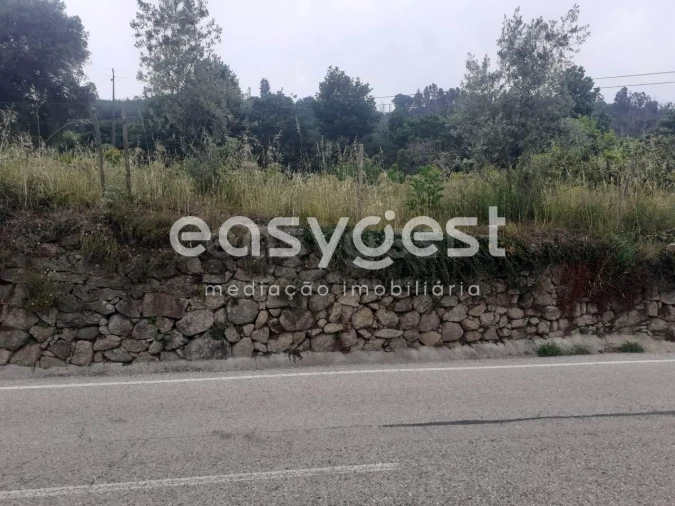 Terreno para Venda em Castelões Foto 17